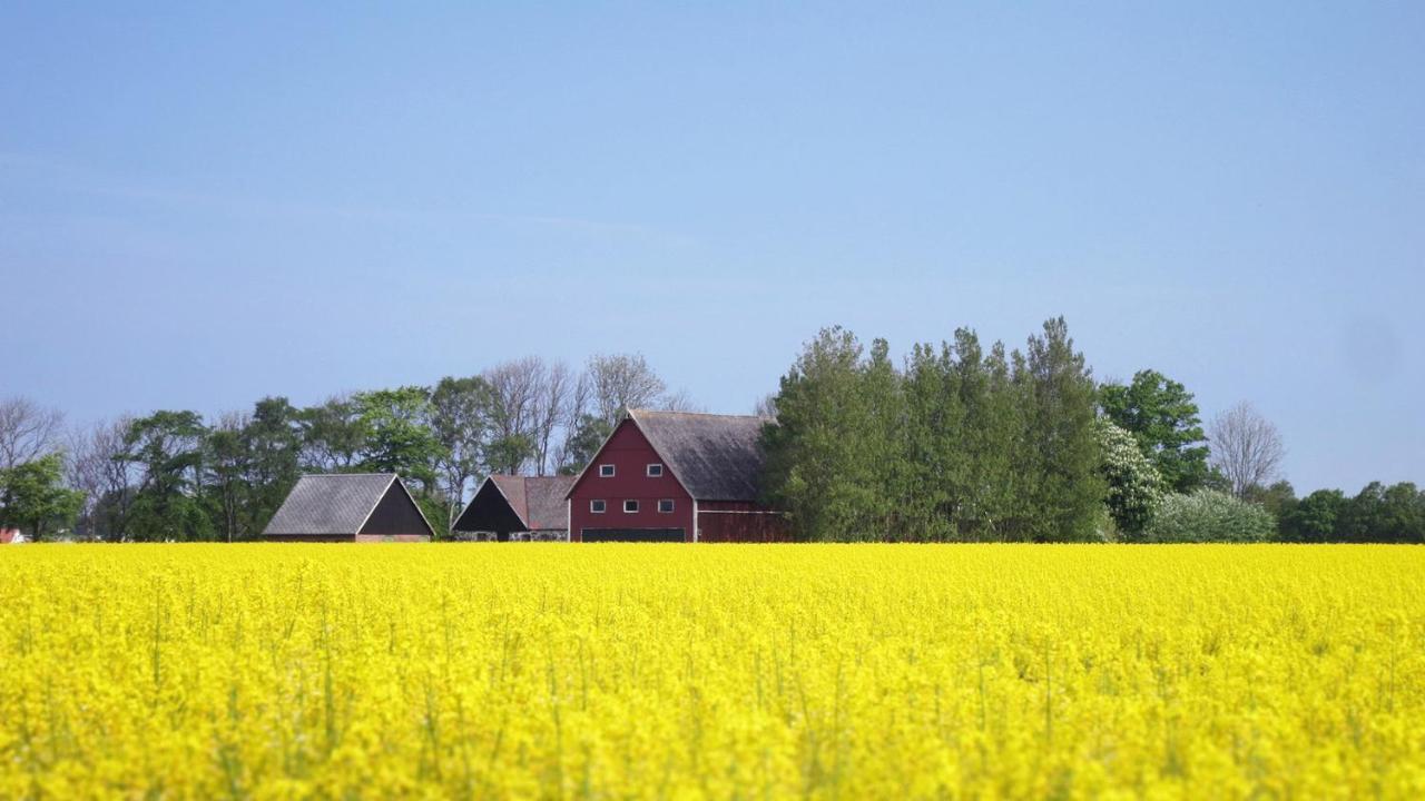 Vikens Bed And Breakfast Viken  ภายนอก รูปภาพ