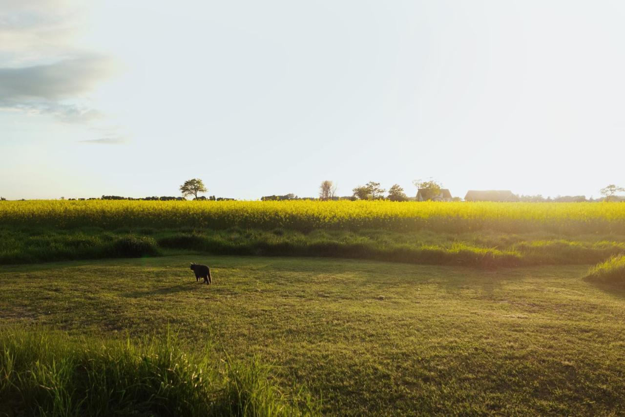 Vikens Bed And Breakfast Viken  ภายนอก รูปภาพ
